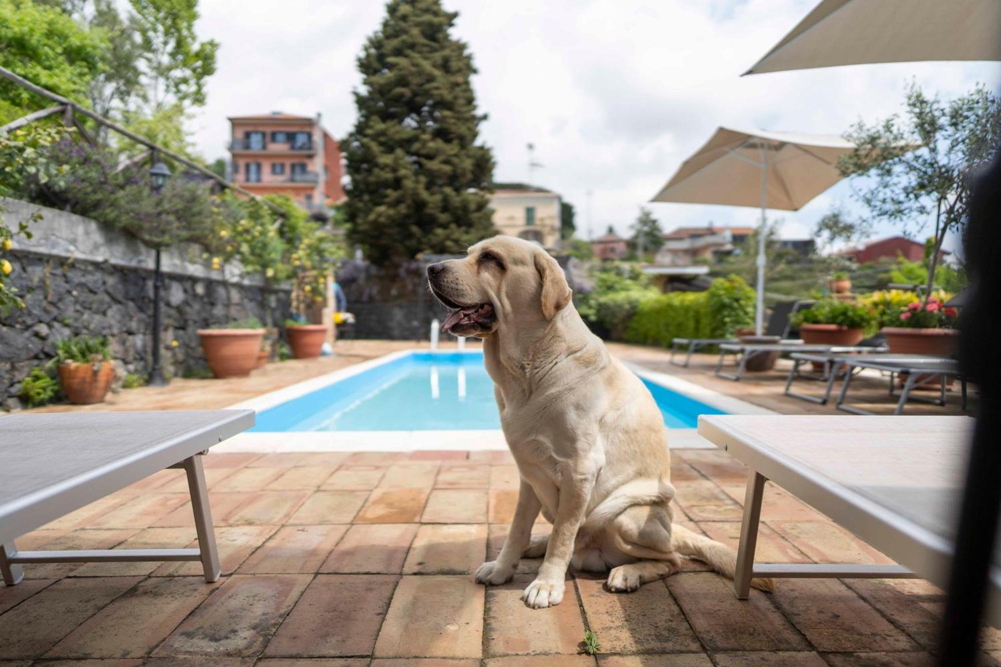 B&B Bellini Milo Kültér fotó